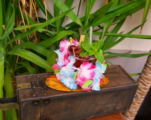FluffyHawaii01